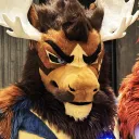 diffusemoose