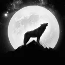 xalphawolf21