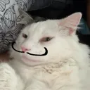 kappepa
