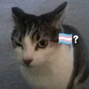 shooken