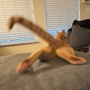 avatar Meowna Listha