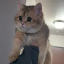 tiddyboi69_