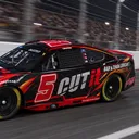 adambuzzeo