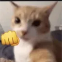 viggx