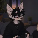 .youngfox