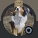 lolzguyl