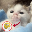 avatar depressivekidemoghouldeadin2007