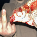 avatar Weltführer Von Dülmen