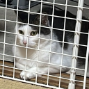 avatar かたちゃん