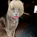 kheuval#3440's avatar