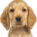 marlu2377