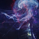 whitehawktruthseeker