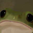 avatar t.a. ᓚᘏᗢ