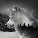 wolfmusic
