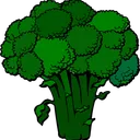 steamed_broccoli