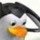 pibby_the_dummy avatar
