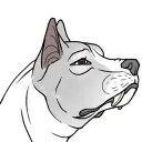 doggek1