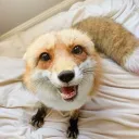 patchworkfoxy