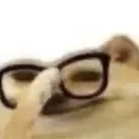 imgodot