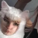 raierae