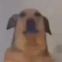 lixaj