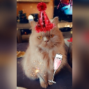 avatar majareta_ ଓ