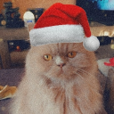 avatar majareta_ ଓ