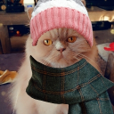 avatar majareta_ ଓ