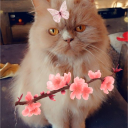 avatar majareta_ ଓ