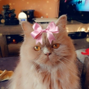 avatar majareta_ ଓ