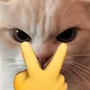 axooltl