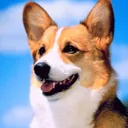 skratti