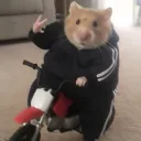 n3wm4rofc