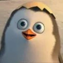 pinguinodroiid4520