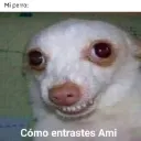 0405370960_davidmoncada