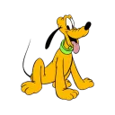 plutovys