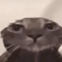 hdabliww