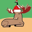 gooseonamoose