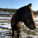 [81]  26-67 Bent B. Pedersen