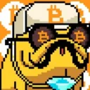bulldroidsnftwillneverdm