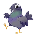 voidedpigeon