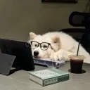 rainwu_