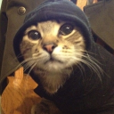 joshuajamesbrandt457's Avatar