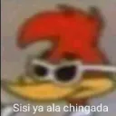 quingoca
