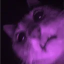 4110