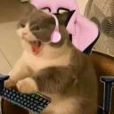 avatar 𝓣𝓱𝓮 𝓠𝓾𝓮𝓮𝓷 👑