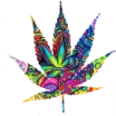 bnanallama