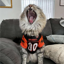 tigar127