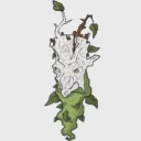oldman_birch