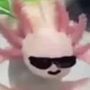 seneri